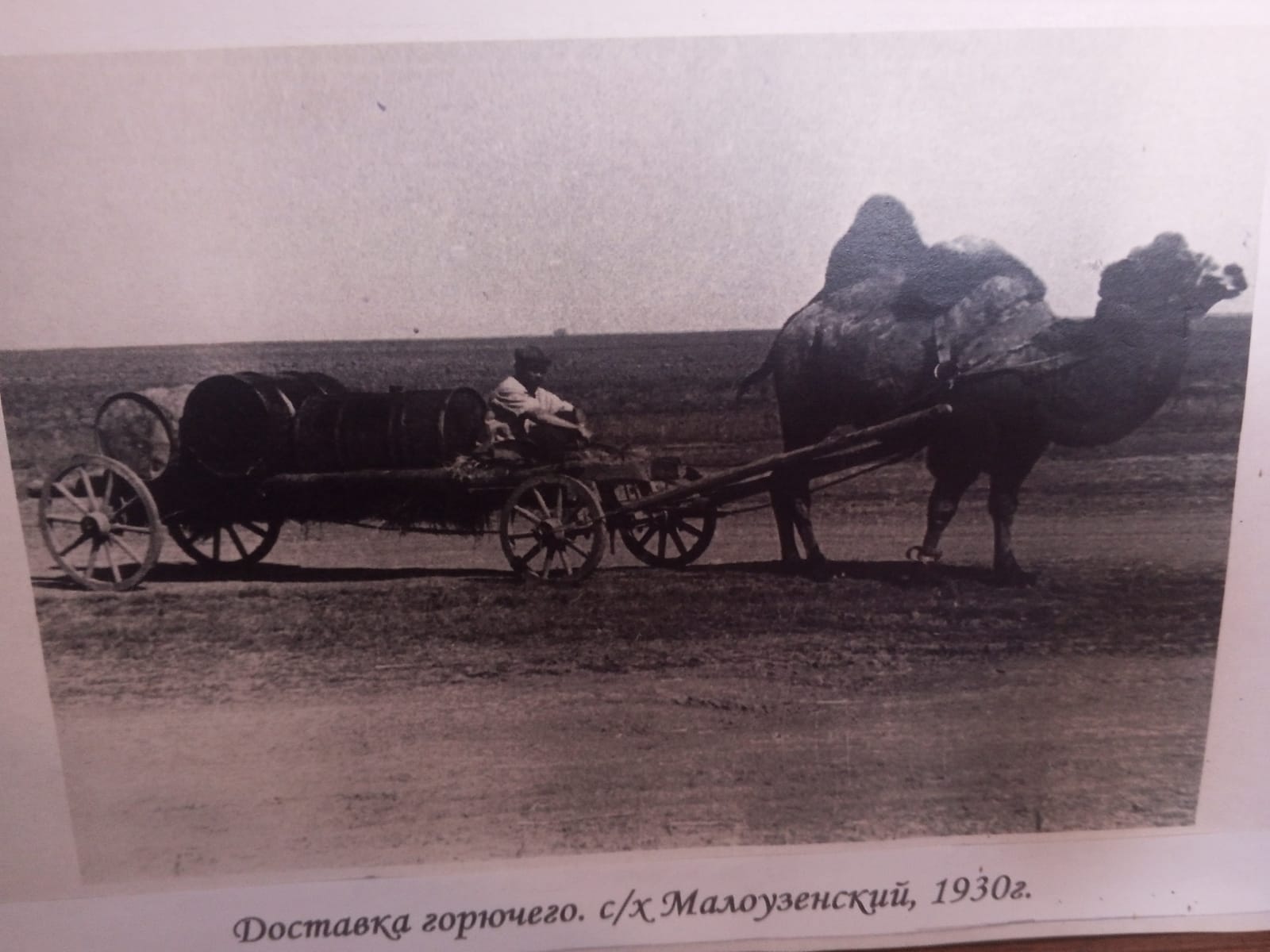 Фотографии.